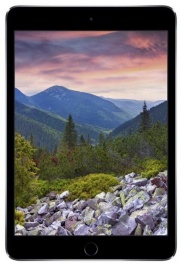 Ремонт iPhone 6